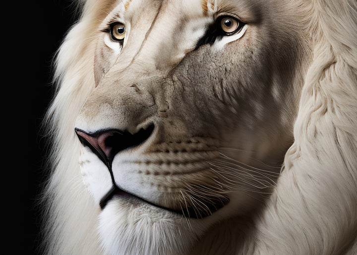 Canvastavla - Beige Lion