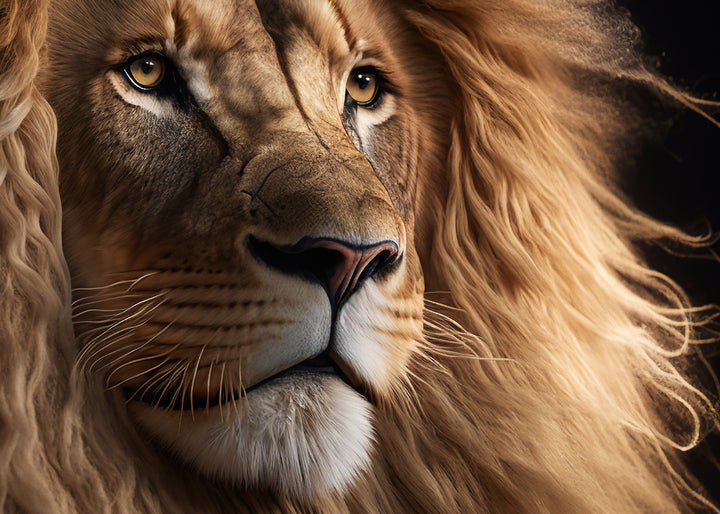 Canvastavla - Brown Lion