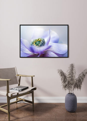 Poster - Lilac
