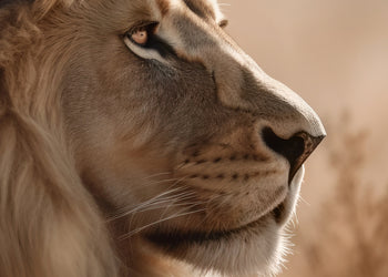 Canvastavla - Lion Profile