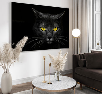 Canvastavla - Black cat