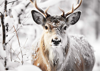 Canvastavla - Guardian of the Snow