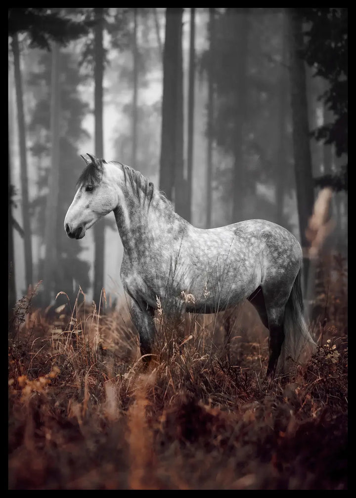 Poster - Forest Grace