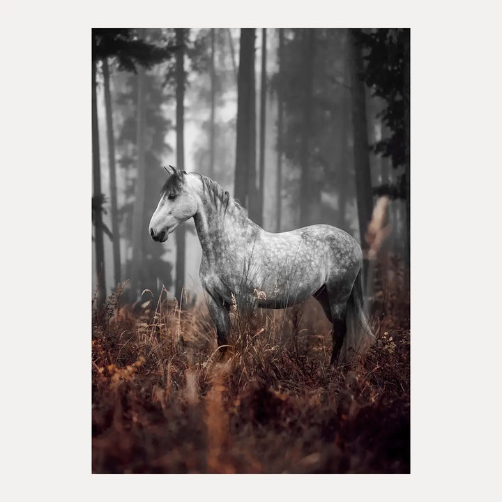Poster - Forest Grace