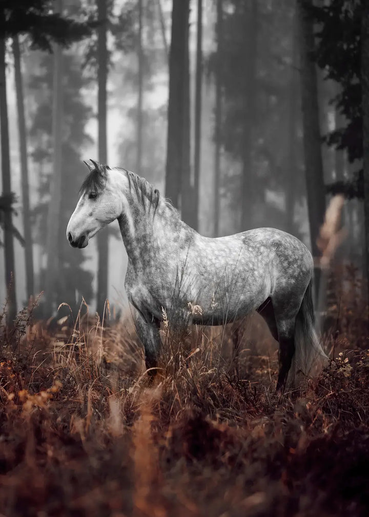 Poster - Forest Grace