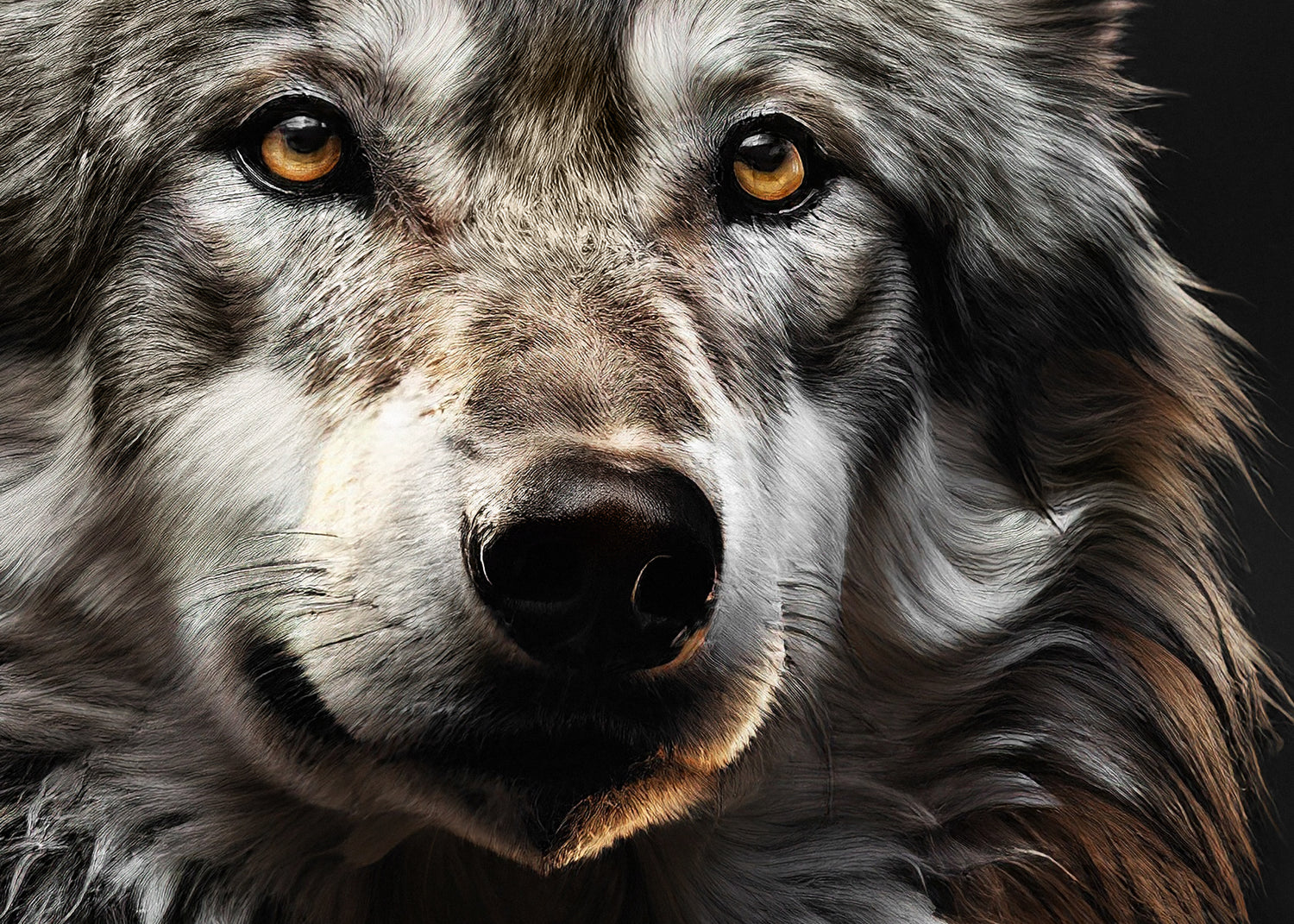 Canvastavla - Wolf Gaze