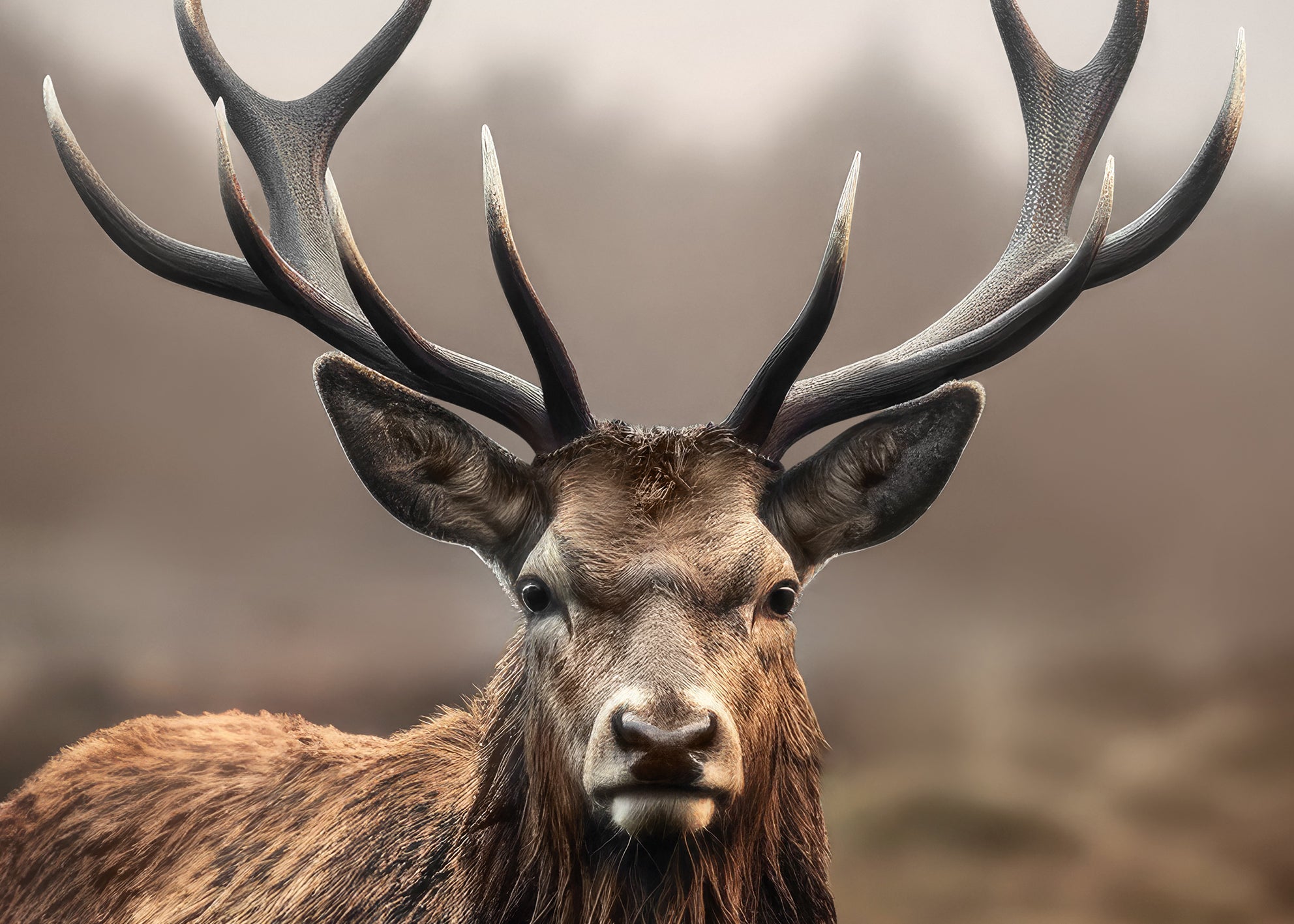 Canvastavla - Mystic Stag