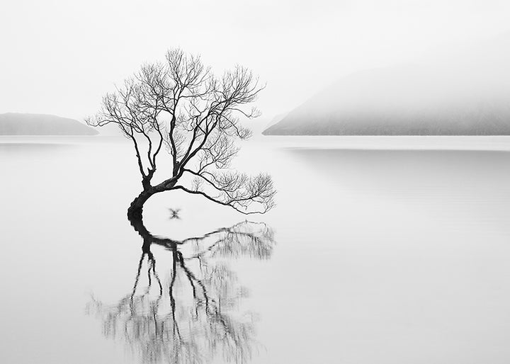 Canvastavla - Serenity