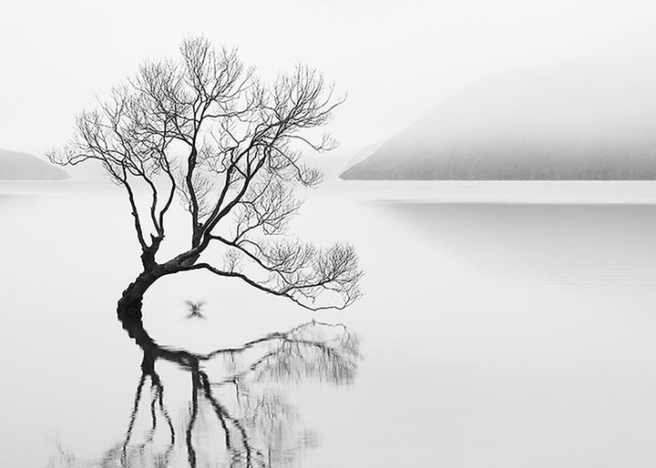 Canvastavla - Serenity