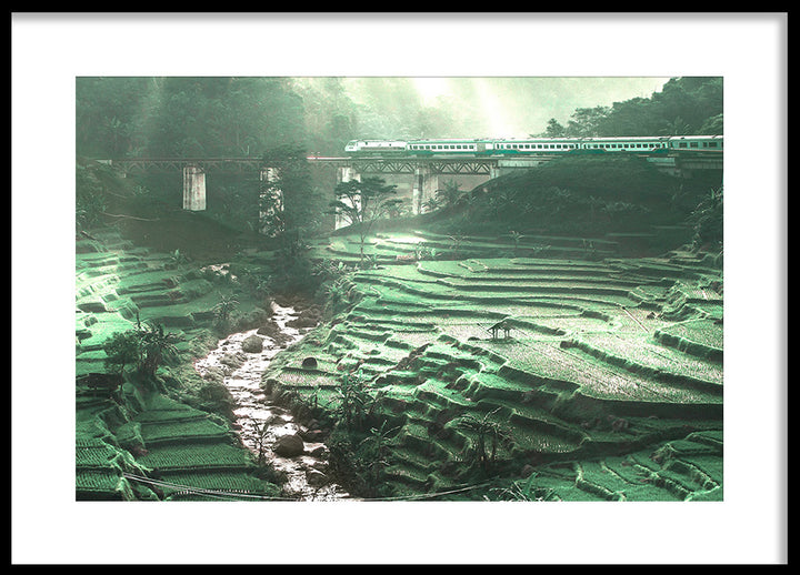Plakat - Brook