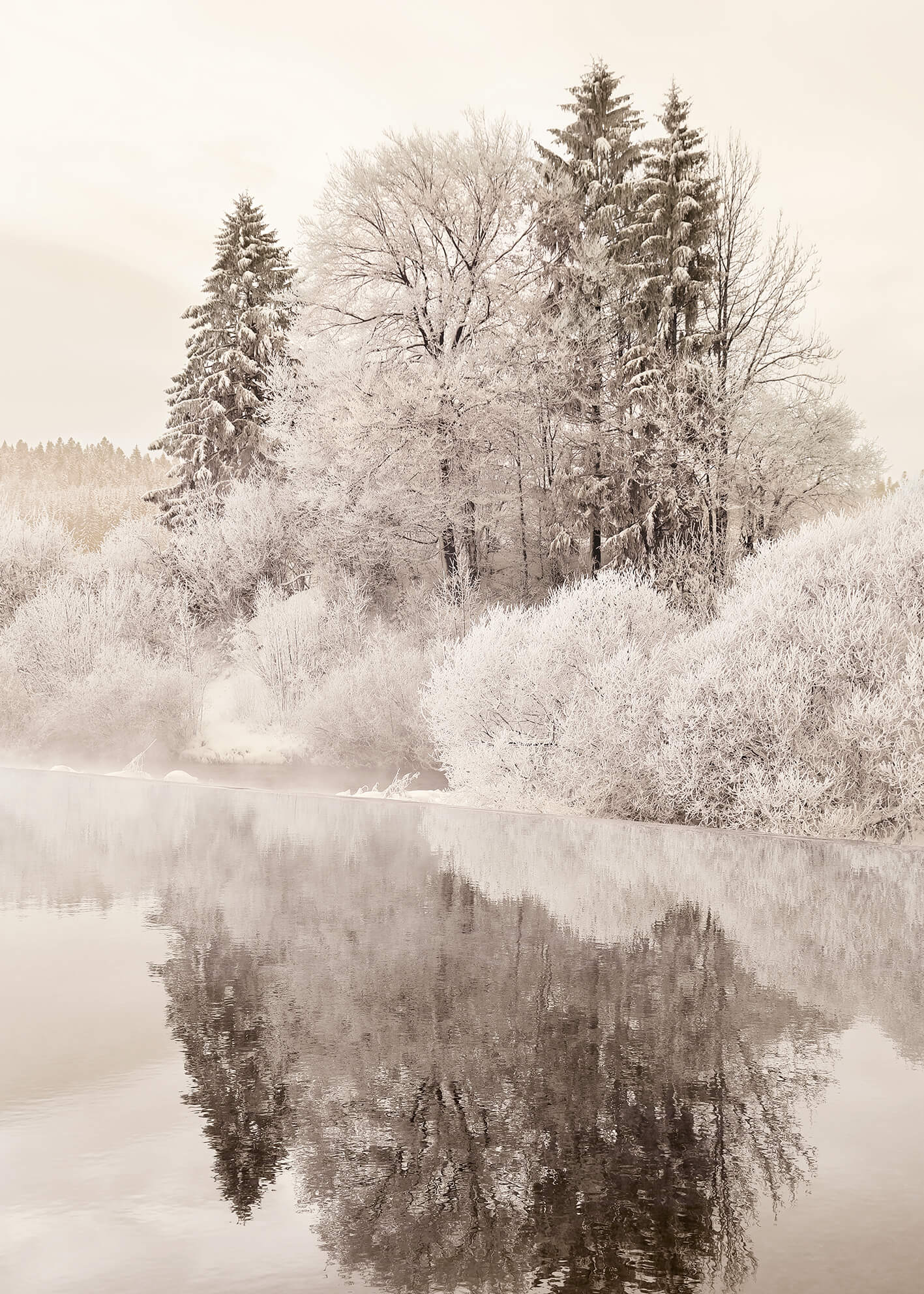 Canvastavla - Trees in Winter