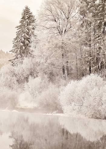 Canvastavla - Trees in Winter