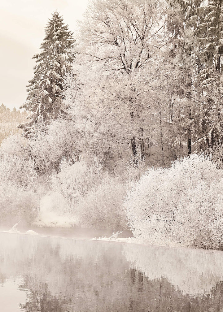 Canvastavla - Trees in Winter