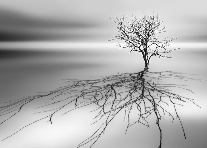 Canvastavla - Even the dead cast shadows