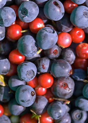 Canvastavla - Berry