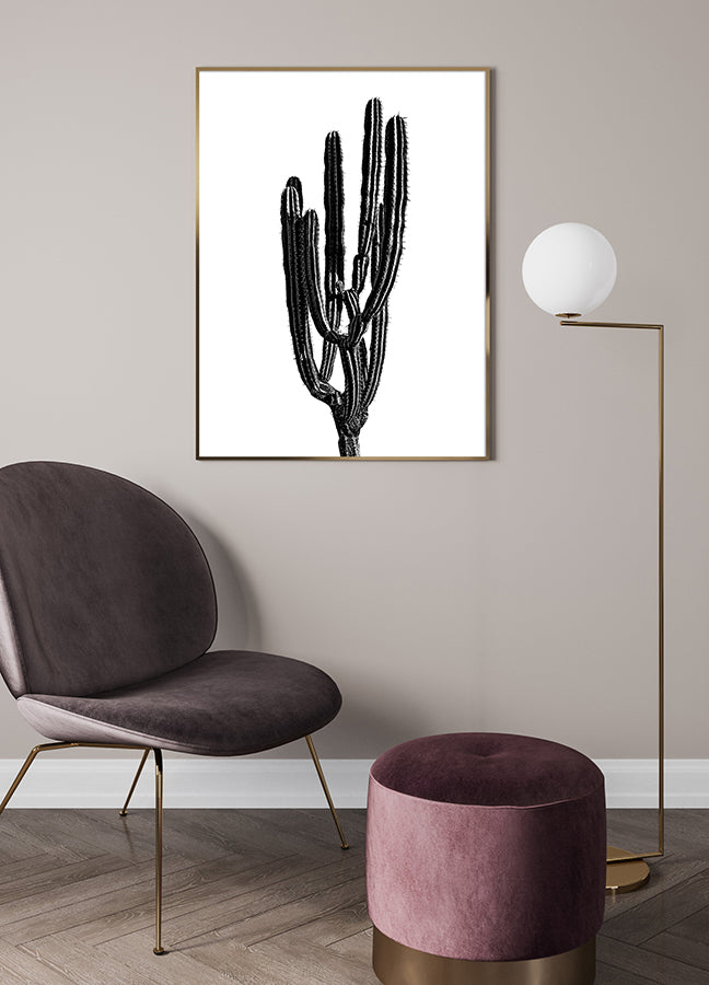 Poster - Baja