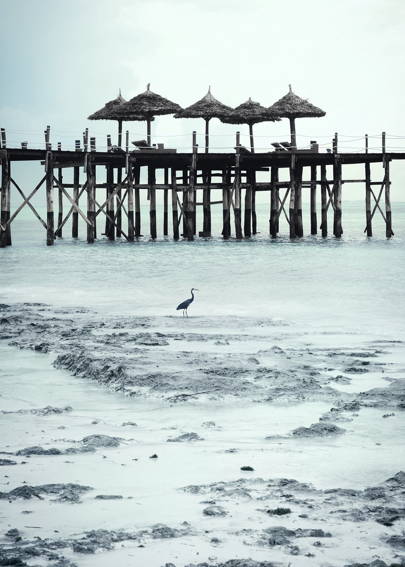 Canvastavla - Low Tide
