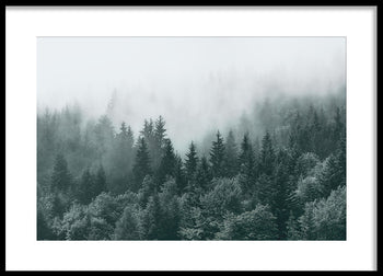 Poster - Mist and Shadows