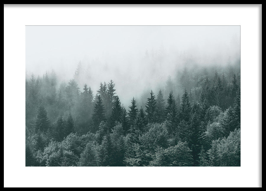 Poster - Mist and Shadows