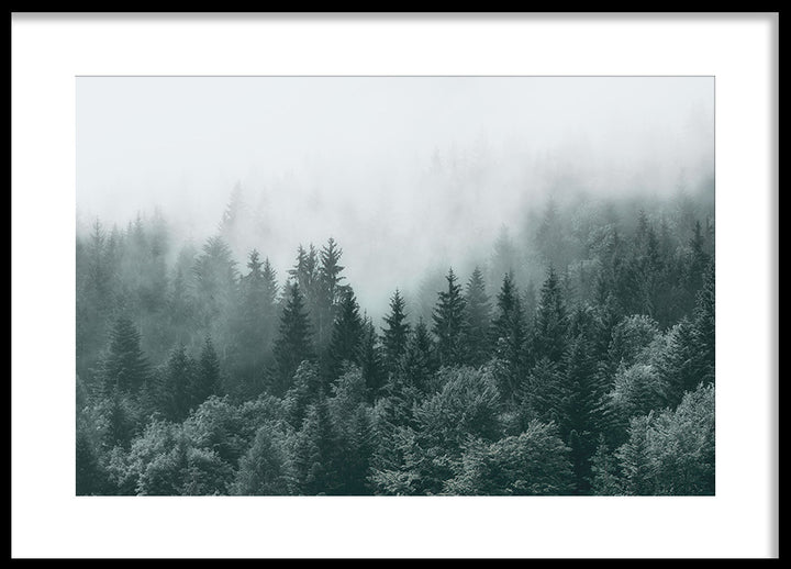 Poster - Mist and Shadows