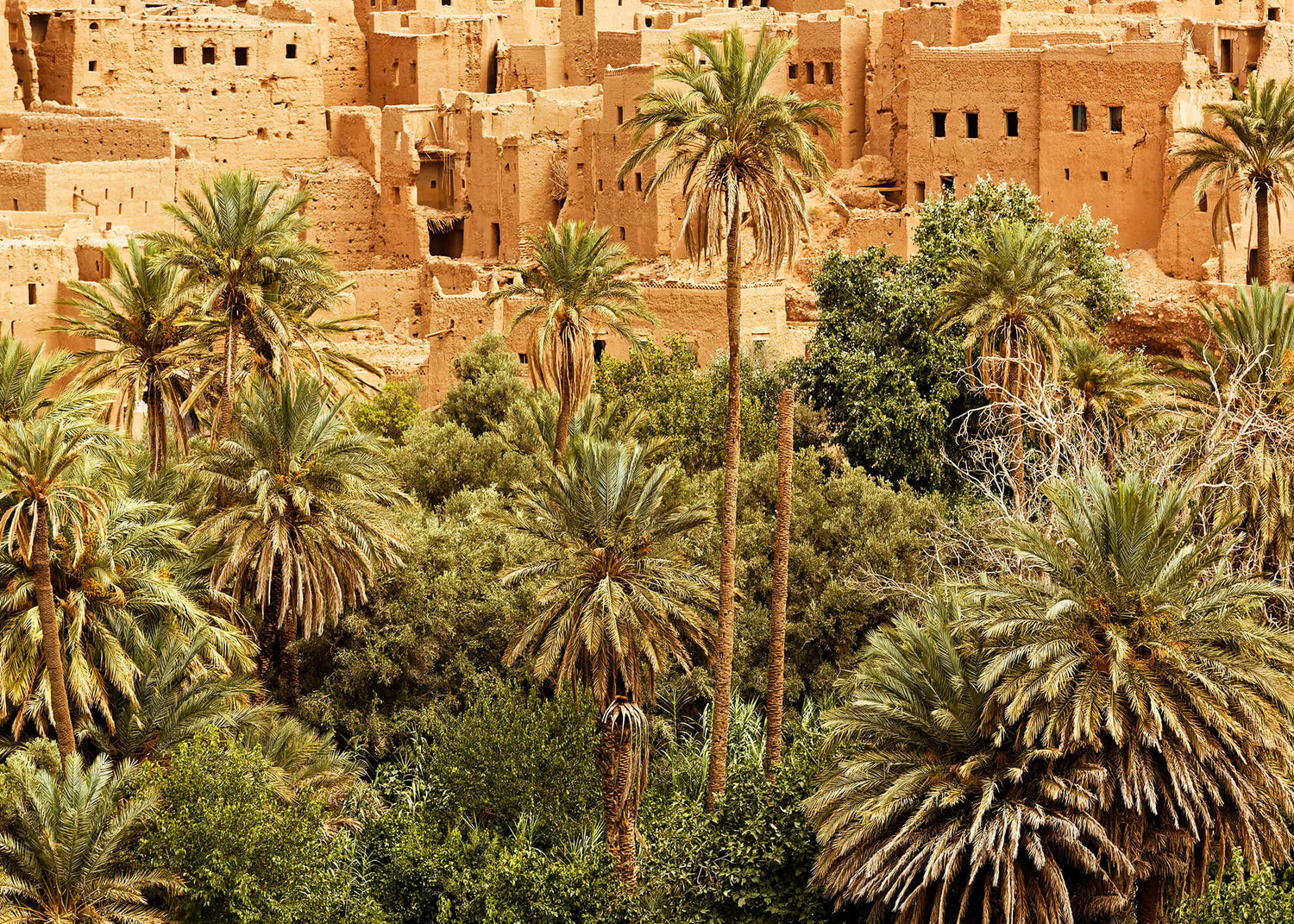 Canvastavla - Morocco dades valley