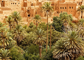 Canvastavla - Morocco dades valley