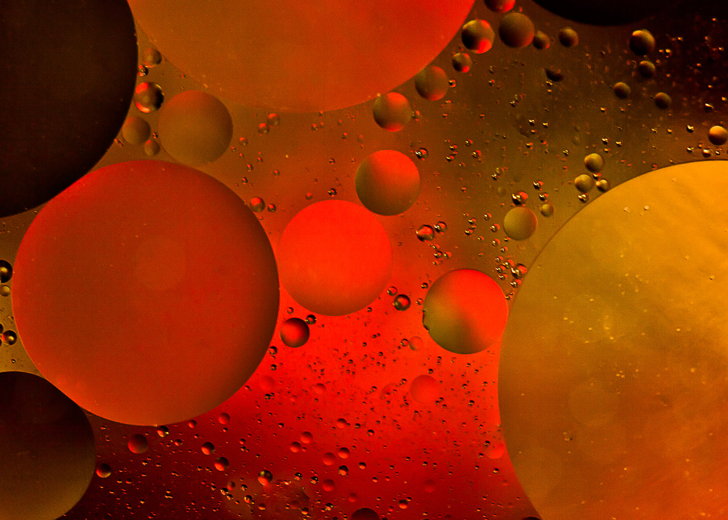 Canvastavla - Bubbles