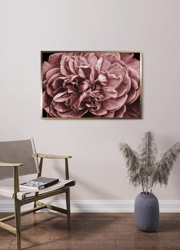 Poster - Pink Roses