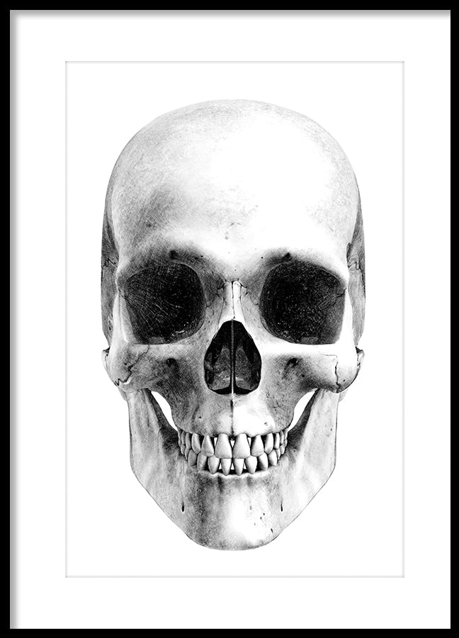 Poster - Skull