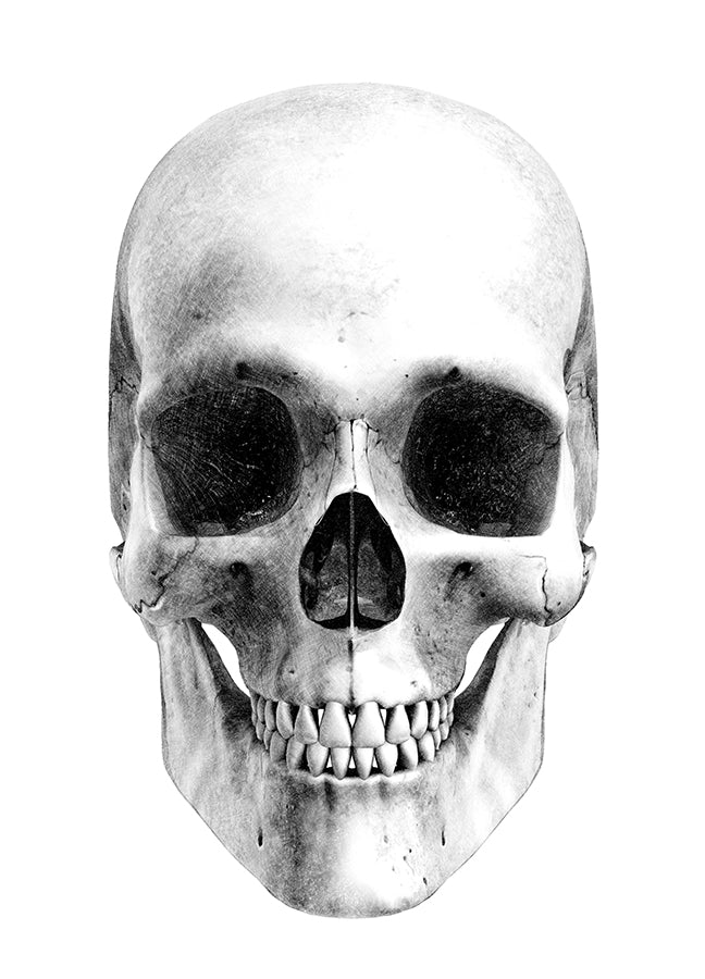 Poster - Skull