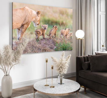 Canvastavla - Lion cubs