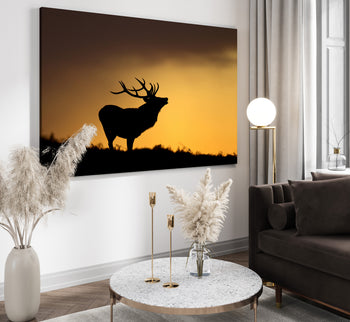 Canvastavla - Deer