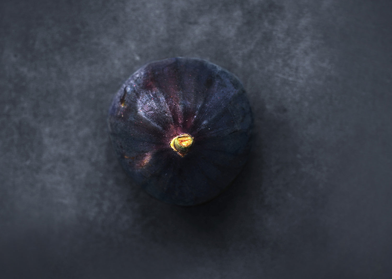 Canvastavla - Fig