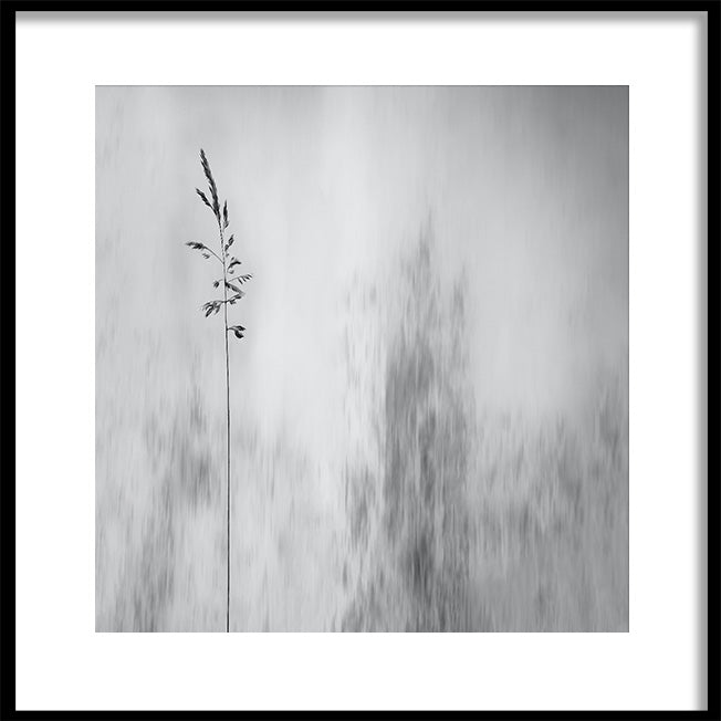 Poster - Shade in The Field