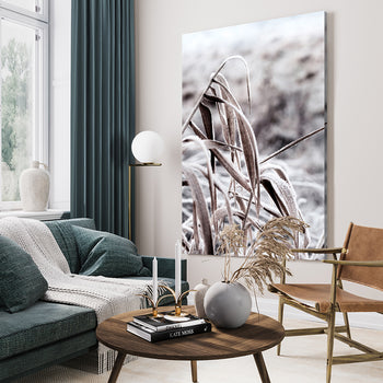 Tavla - Cold Nature