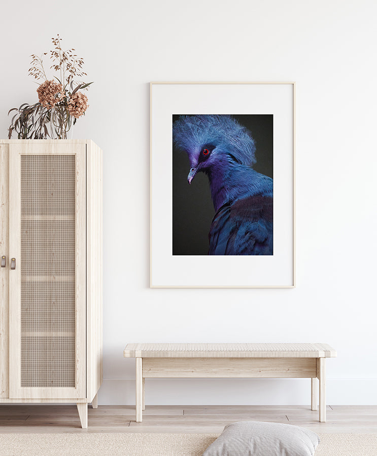 Poster - Polly
