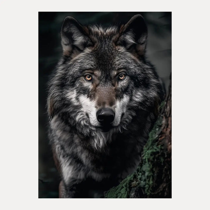 Poster - Forest Sentinel