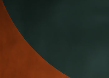 Canvastavla - Fusion of Forms